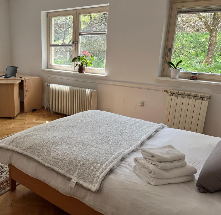 Lovely 2-Bedroom Appartment With Free Parking Dobrova Luaran gambar